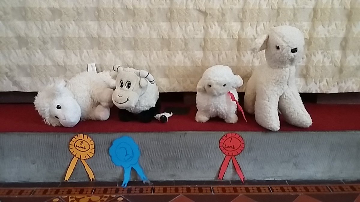 In Corris church yesterday there was a toy Lamb Show, ending in a split decision over which lamb was perfect! We were talking about what it means when John the Baptist called Jesus "the Lamb of God"