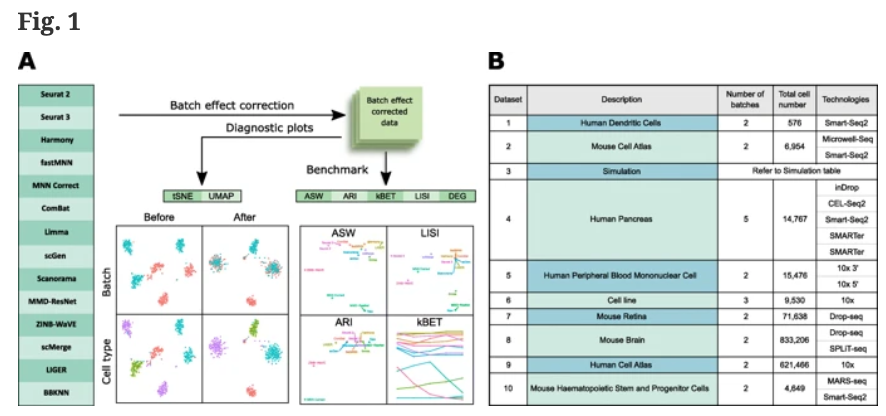 BioDecoded's tweet photo. A benchmark of batch-effect correction methods for single-cell RNA sequencing data | Genome Biology
https://t.co/VN3ODQLEAp
#bioinformatics #BatchEffect https://t.co/0zpuCddQQp