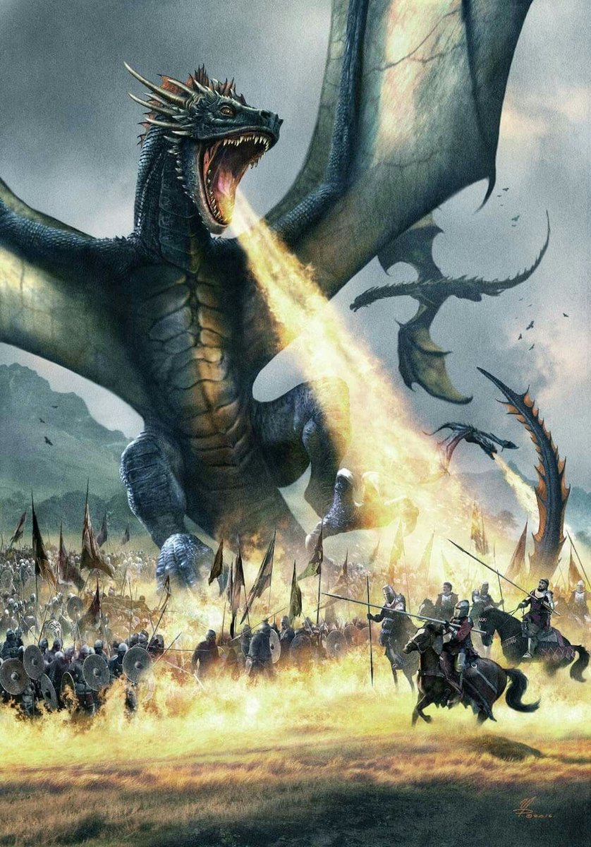 Game Of Thrones Facts During The Infamous Field Of Fire The Only Battle In Which The Dragons Balerion Meraxes And Vhagar Took To The Sky Together The Three Of Them