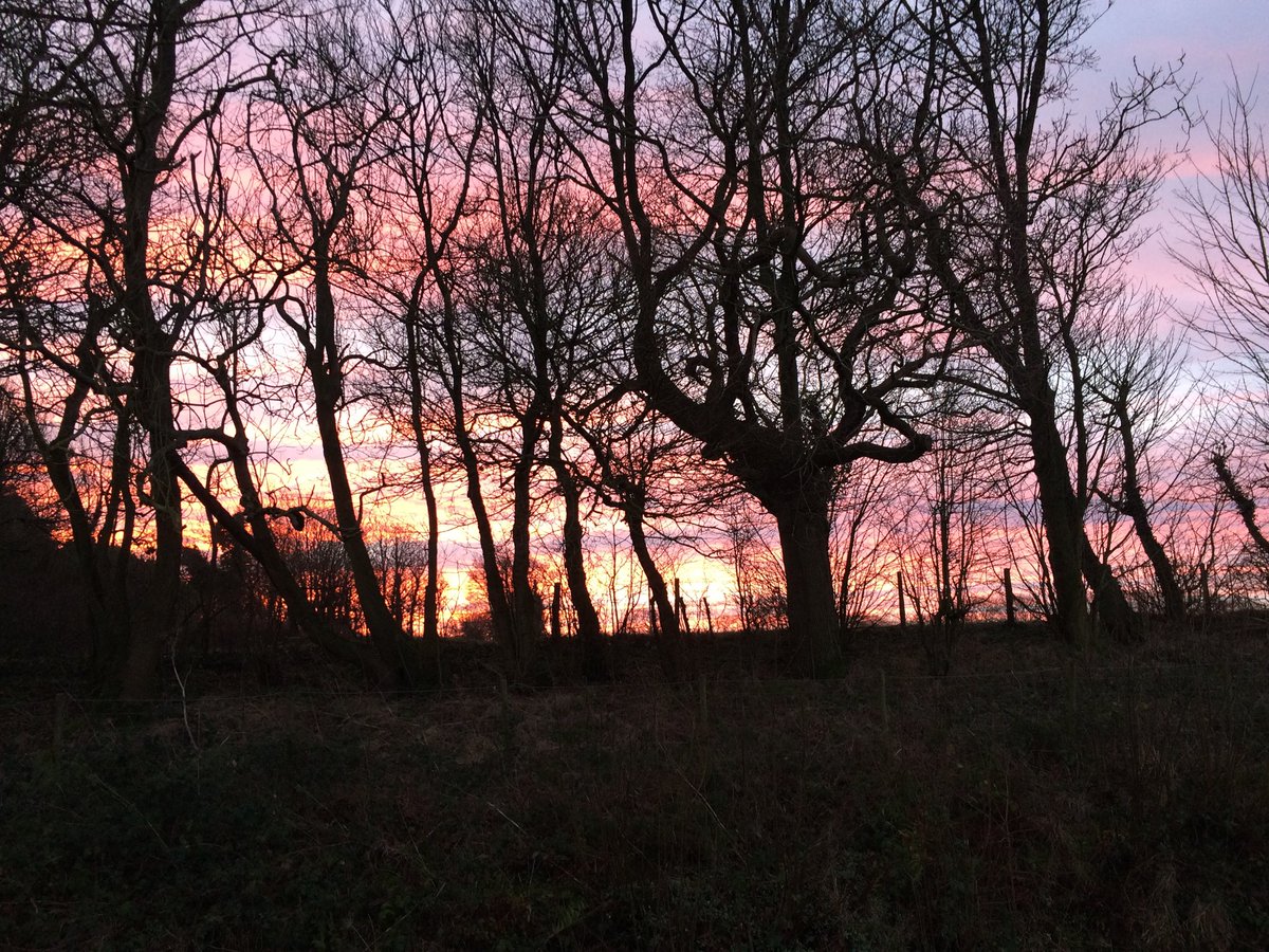 My view from the office this morning. Have a great week!
#Alkham #Dover #Kent #365daysonourfarm