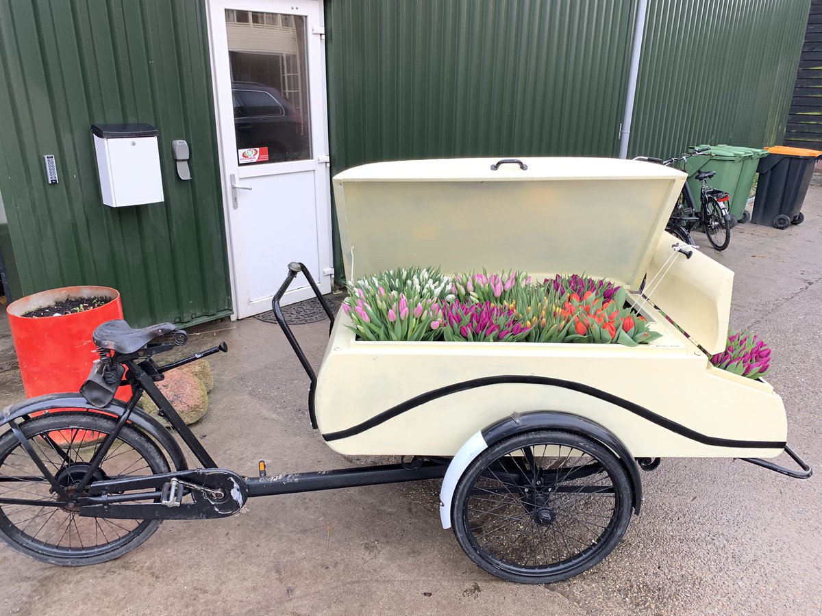 Wederom slechte prijzen voor de #tulpen haal dus mooie bos in de winkel. Probeer ik rustig te blijven de mannen van de <a href="/Rabobank/">Rabobank</a> zeggen dat de markt het kan hebben #komtdusgoed