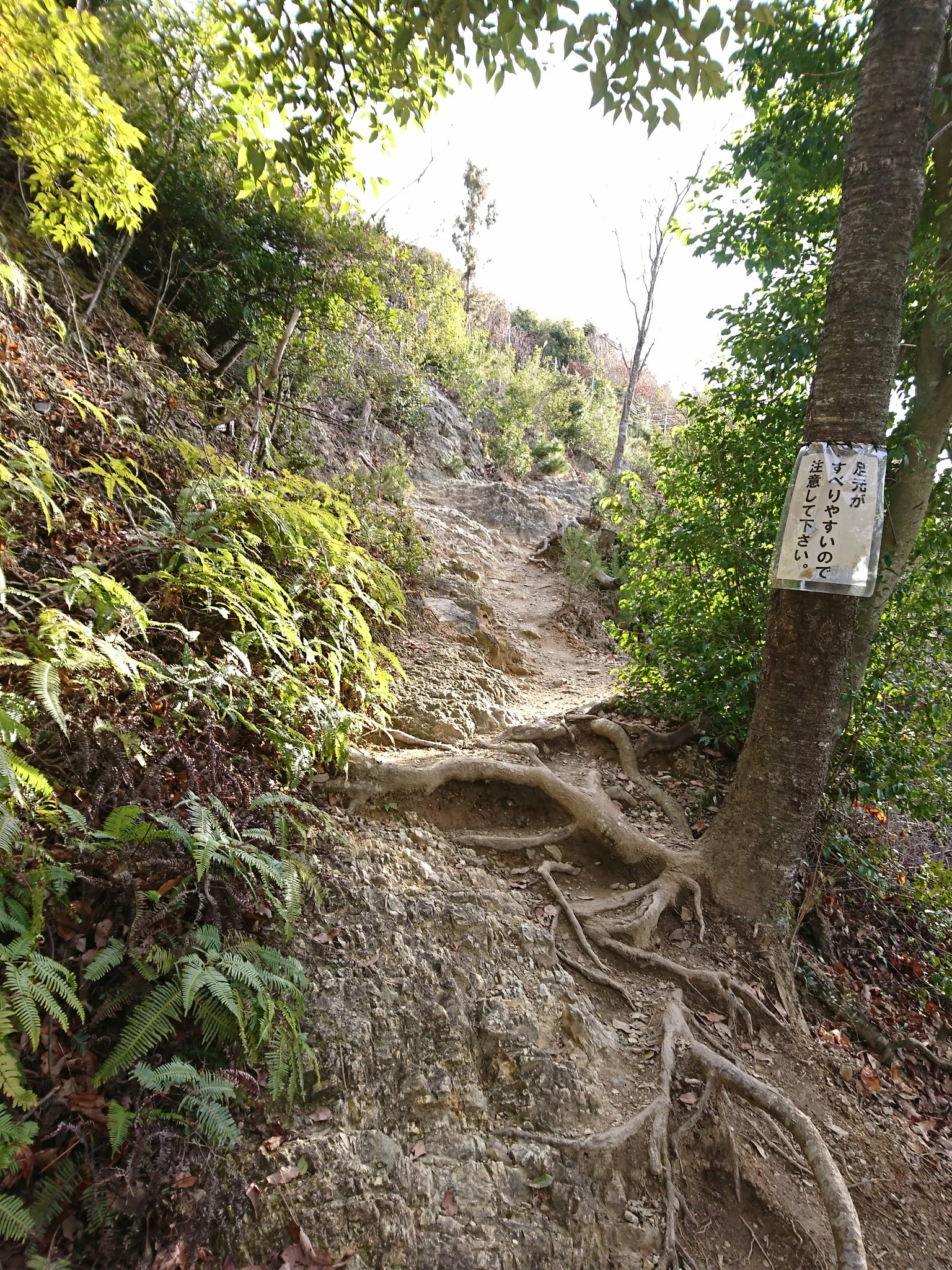 山陽バストラストツアー ちなみに 黒井城 は 標高356 の山城 片道40 50分ほどかかります なかなかハード トレッキングシューズ とポールがあった方がよいですよ トラ2 より 続日本100名城 黒井城 保月城 東曲輪跡の野づら積み石垣