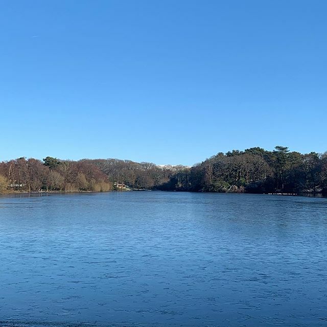 A gloriously fresh one on the estate lake this morning. Would you love to work in a setting like this? Check out our current vacancies on our website now ... #newyear #newyou ift.tt/38oCu7r