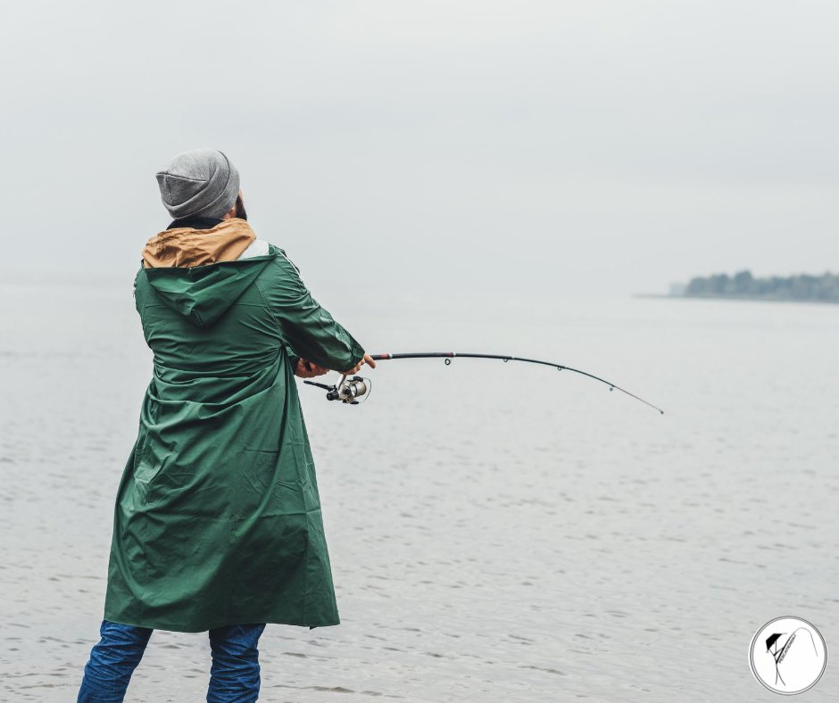 Pescatienda's tweet photo. ¿Sabes que hoy es el #BlueMonday? ��

En teoría es el día más triste del año... pero nosotros tenemos una solución: nada mejor que combatirlo cogiendo tu caña y disfrutando de lo que más te gusta🎣

🌐 https://t.co/eKIA1WyKJK

#Pescatienda #Surfcasting #Pesca #Fishing https://t.co/7w65Ok2mEW