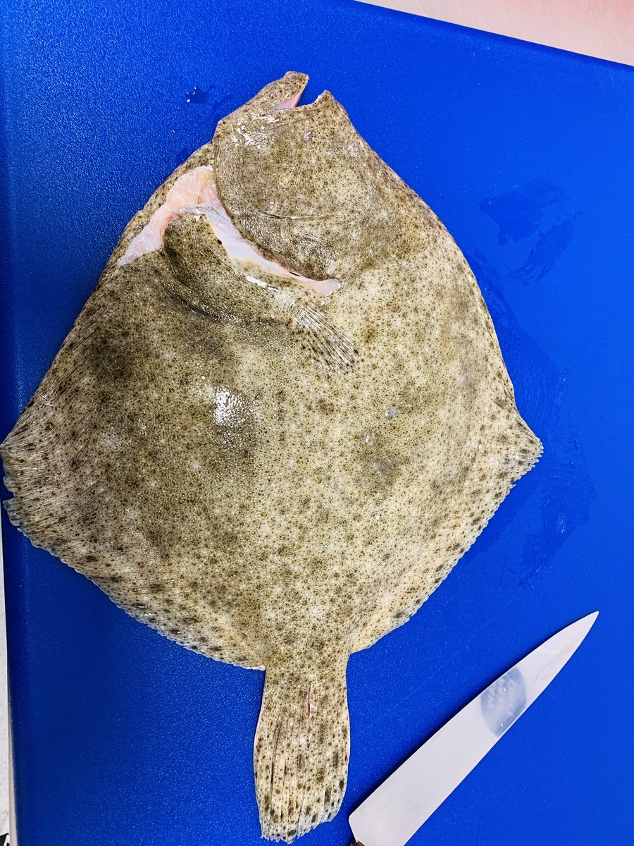 wahslaWkraM tweet media