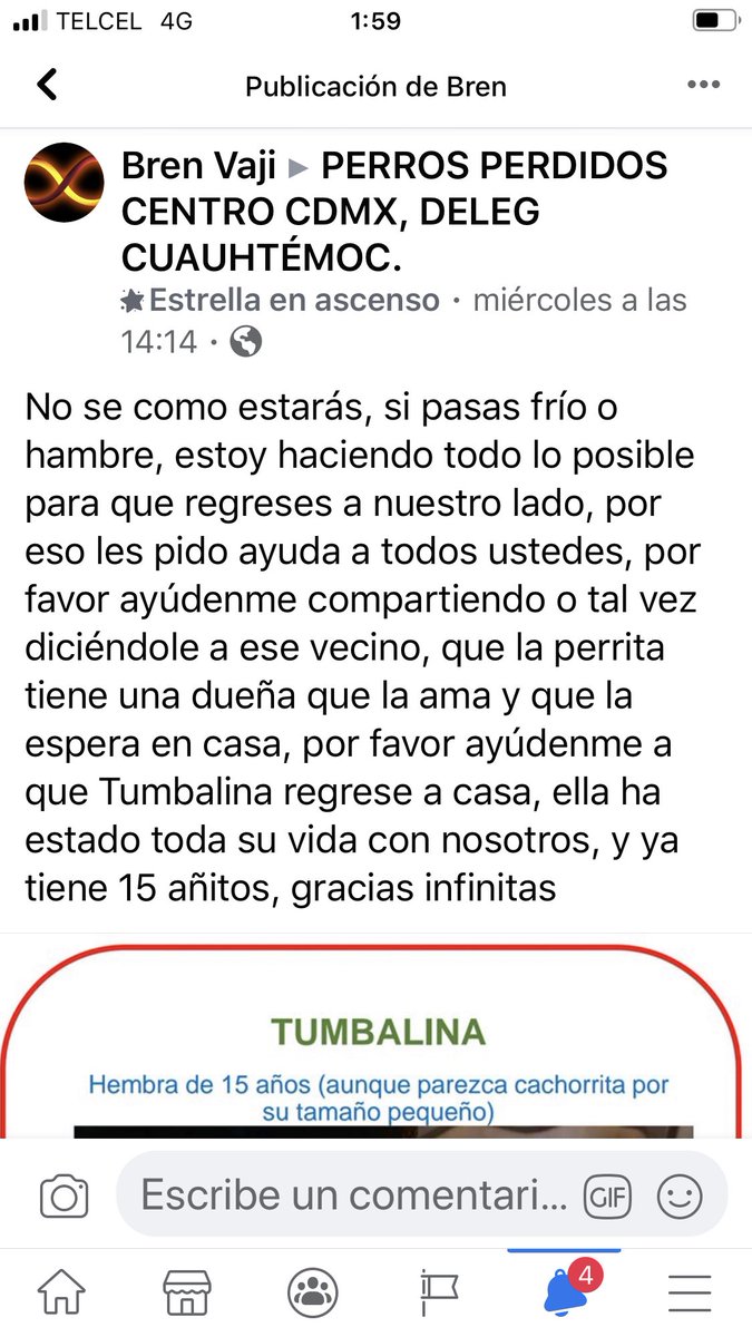 rumabo1's tweet photo. @Ajusco_Tlalpan @AjuscoTlalpan @ComiteDHAjusco @AjuscoDenuncias @JardinesAjusco3 @AjuscoTlalpan @TlalpanVecinos @tlalpanpet @PrrosPerdidosMX @lawera33 @PerdiMiMascota @amidoglove @PpEncontradosMx @MascotasSismo @DefensaAnimal @Perrosenlacalle @sebuscaCdMx @animalitoscdmx https://t.co/7GeZe17GP4