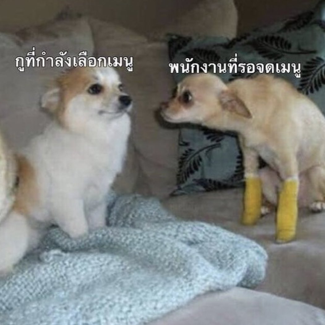 ลุงอาร์ม tweet media