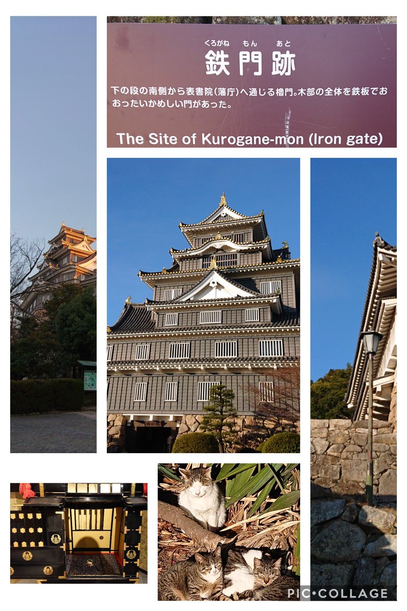 お写真も✨ 
