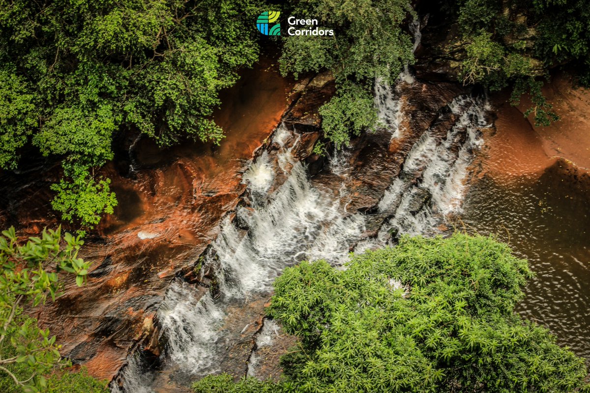 Green_Corridors's tweet photo. This Is Durban. 

Share images of your favorite gems in Durban on this thread and use #ThisIsDurban.  

Let's show the world how Beautiful is our city. 

📸Cred: @Tsoroh_M 

#ThisIsDurban #ThisIsDurban #ThisIsDurban https://t.co/MWBhAhLyHh