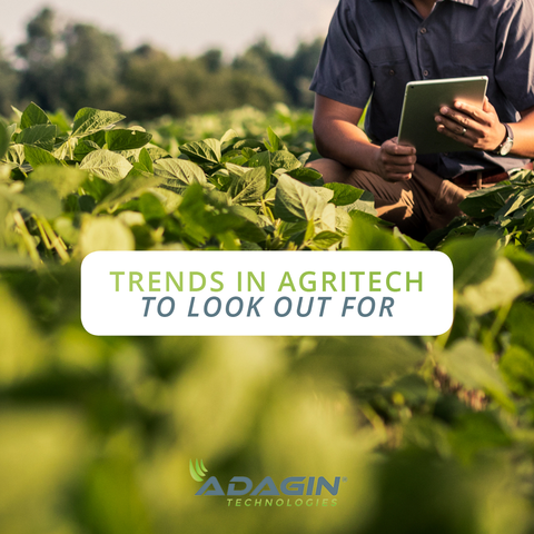 AdaginT's tweet photo. We are always looking out for AgriTech trends, so that we can be sure to keep up to date with the latest and greatest.
Its good to know that Adagin Tech is on the right path!
https://t.co/U0FAsIIM37
#adagintech #agriculturaltech #agriculture #agritech #precisionfarming #farming40 https://t.co/xUnl2QzoIE