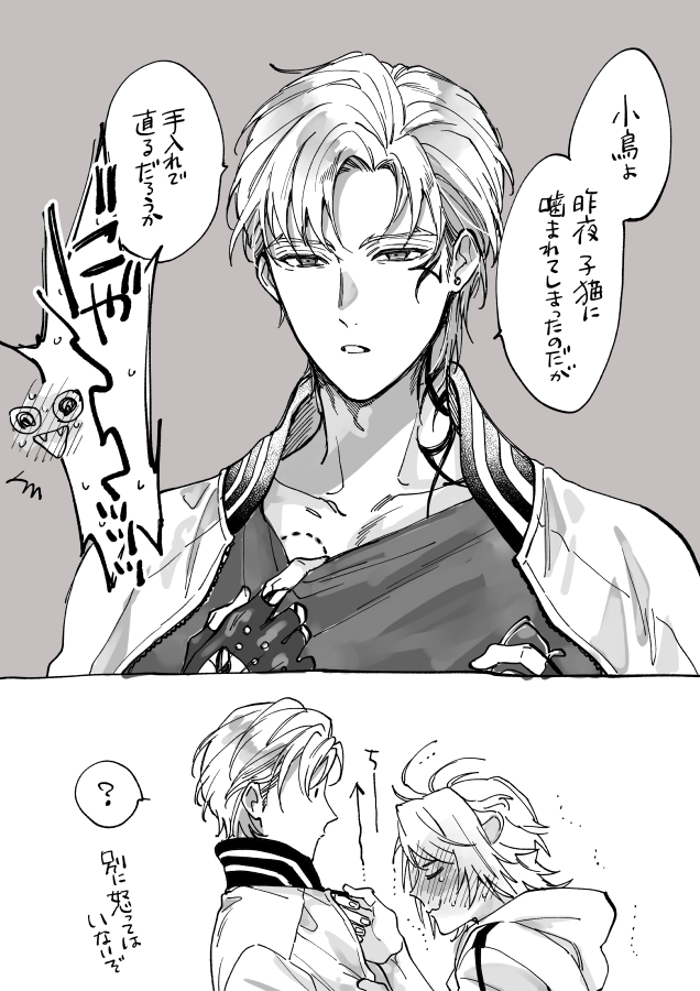 まだよくわかってないちょもさん
※にゃんちょも 