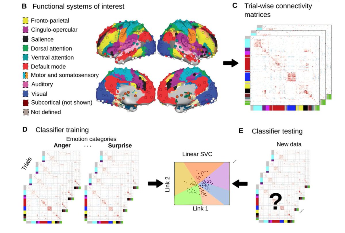 Emotions can be decoded from BOLD #connectivity patters in the  cortical midline - a smashing new preprint from <a href="/TurkuPETCentre/">Turku PET Centre</a> and <a href="/abc_aalto/">Aalto Brain Centre</a> led by smashing <a href="/hpsaarimaki/">Heini Saarimäki</a> (now in <a href="/Caltech/">Caltech</a>)! biorxiv.org/content/10.110…