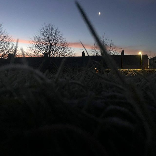 spanielhunter's tweet image. Dawn on a frosty morning #dawn #walkies #frosty #chilly #astorpark #plymouth #southwest ift.tt/38lbINg