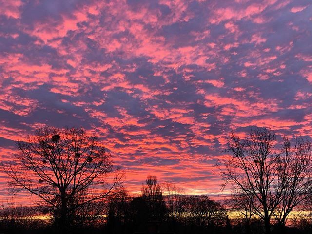 LondonCakery's tweet photo. Nothing blue about this Monday #wow #sunrise #ruislip #nature #stunning #monday https://t.co/unFomEXZmc https://t.co/2O5LdnobuN