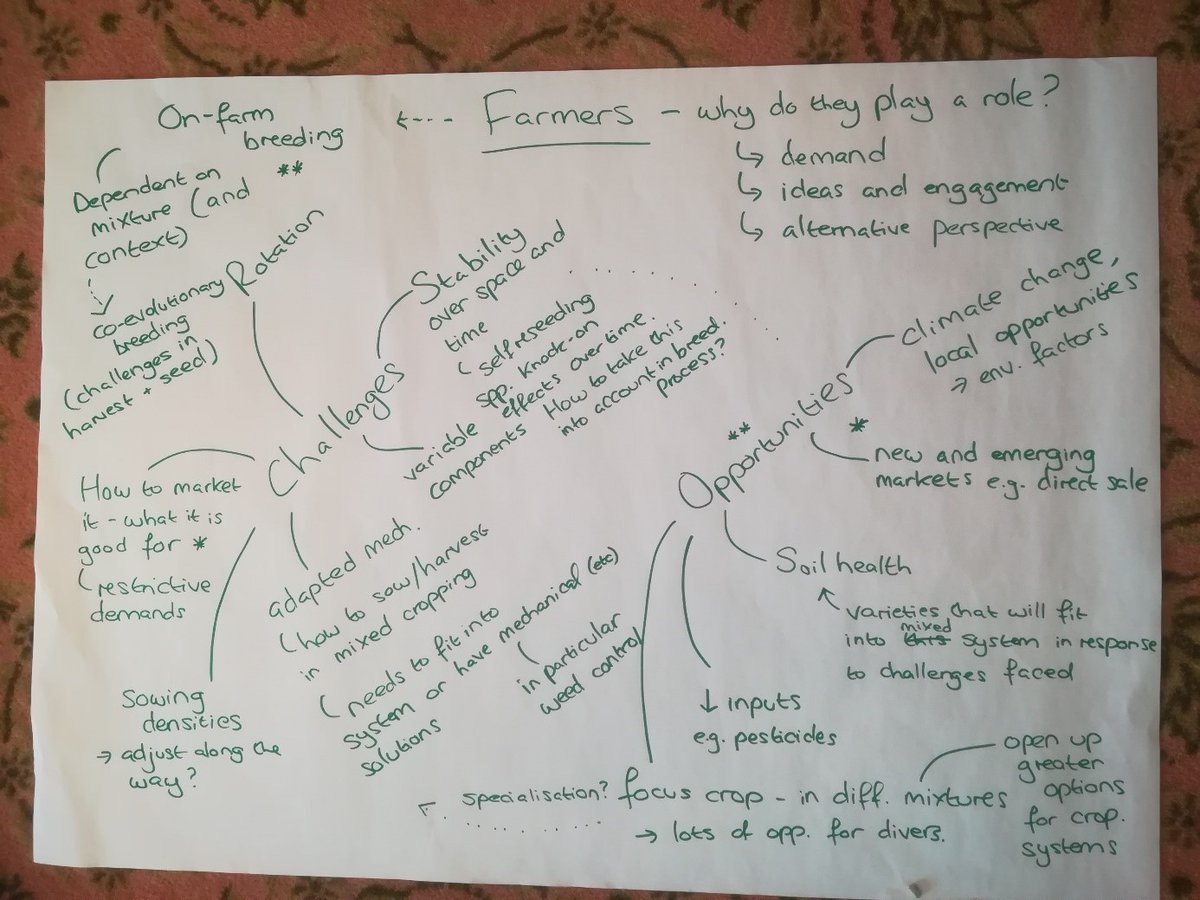 Have a look at some of the outcomes from the workshops at the European Conference on Crop Diversification, organized by @DiverIMAPCTS together with the Crop Diversification Cluster: cropdiversification.eu/service/news/t… 

<a href="/PlantTeams/">DIVERSify</a> <a href="/diverfarming/">Diverfarming</a> <a href="/RemixIntercrops/">Remix Intercrops</a> <a href="/TrueLegumes/">TRUE Project</a> <a href="/LEGumeVALUE/">LEGVALUE</a>