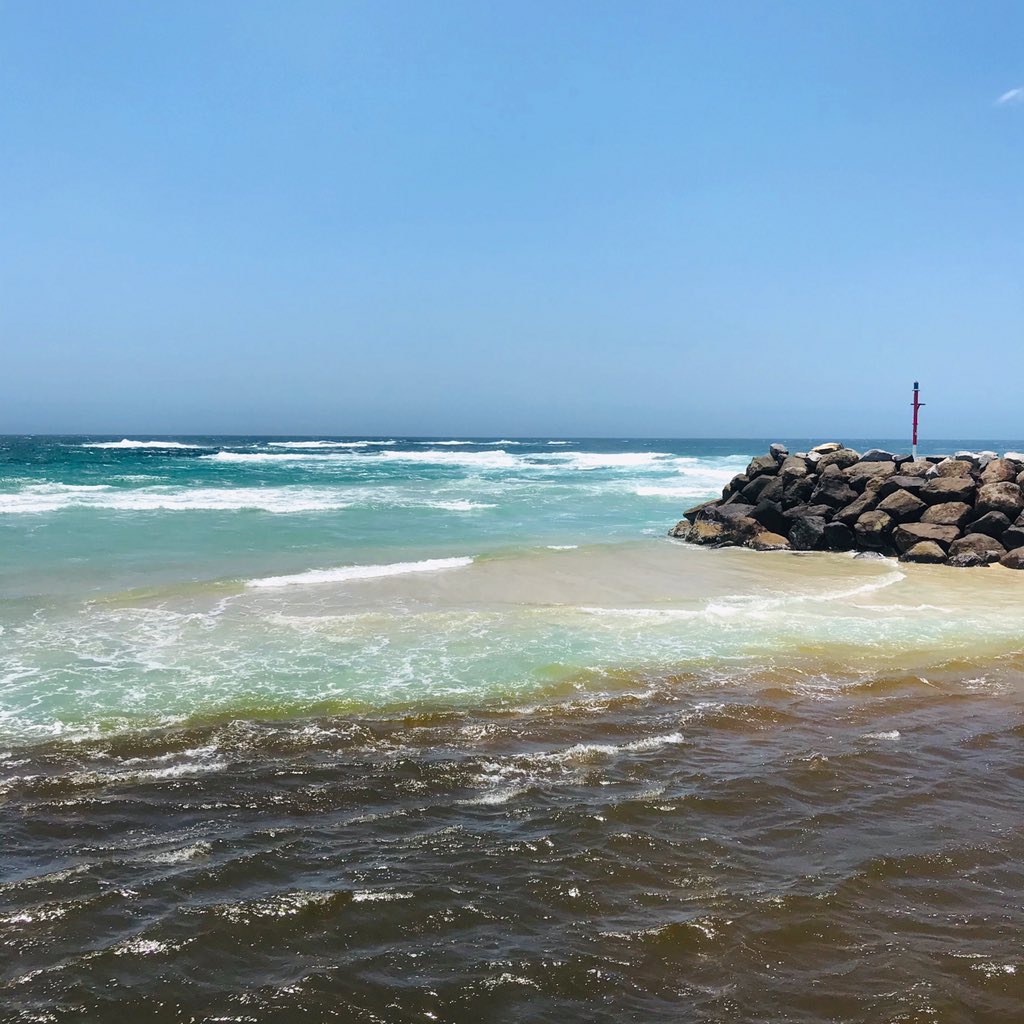 COMMONWEALTHOC1's tweet photo. Runoff from the big wet over the weekend, shows how nutrient pollution, occurs when agricultural run-off carrying fertilizers and sewage end up in coastal marine ecosystems through rivers and streams. Excess nutrients cause simple plant organisms (e.g. algae) to grow in abundance https://t.co/9FThBnhxtt