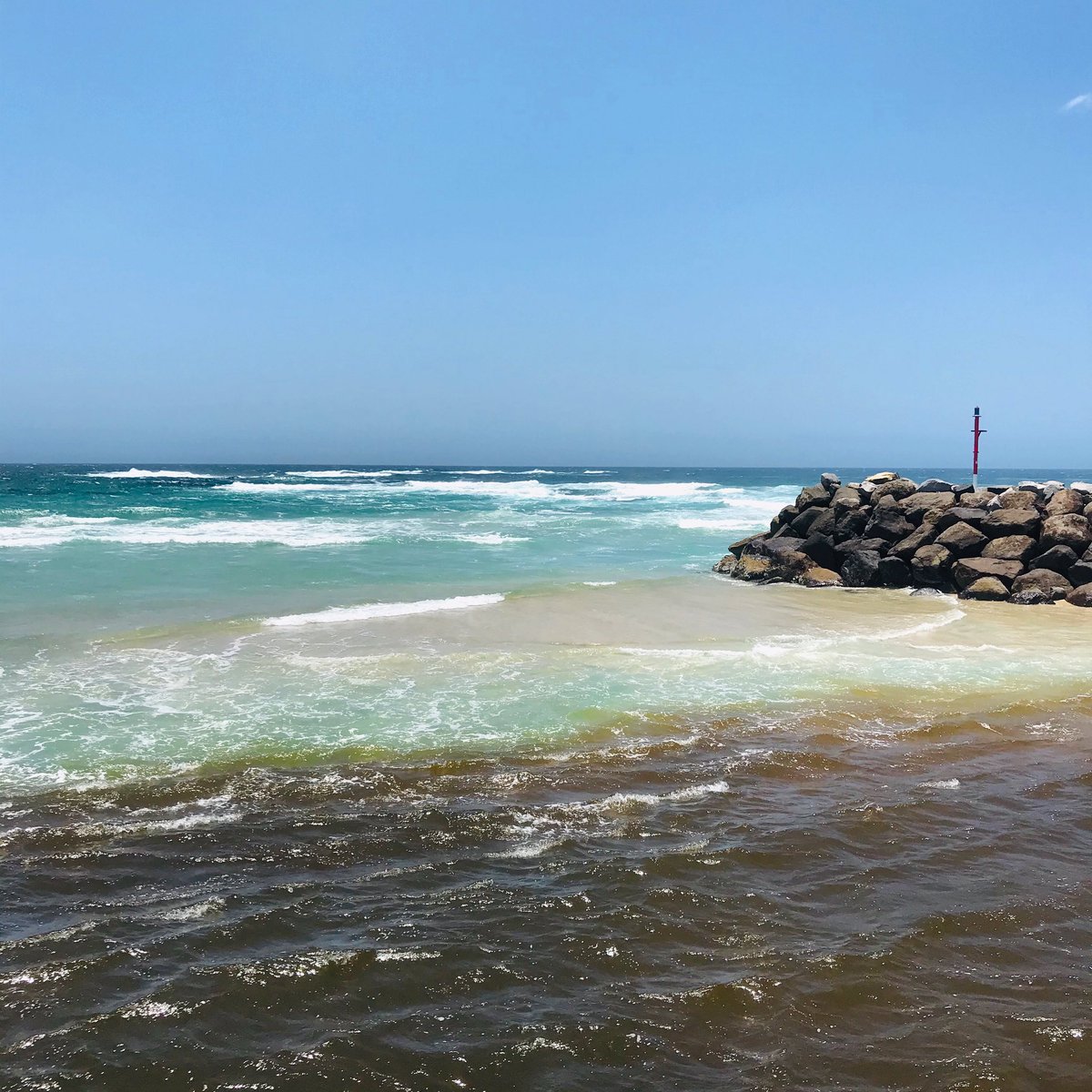 Sport2Clean's tweet photo. Runoff from the big wet over the weekend, shows how nutrient pollution, occurs when agricultural run-off carrying fertilizers and sewage end up in coastal marine ecosystems through rivers and streams. Excess nutrients cause simple plant organisms (e.g. algae) to grow in abundance https://t.co/YfZtQppVpD