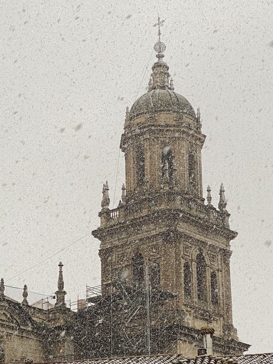 _mcontreras's tweet photo. #Nieva en #Jaén. Magnífica estampa de la nieve con la Catedral al fondo https://t.co/TBjadBj9zL