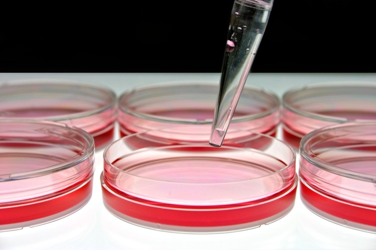 nano4global's tweet photo. In the second quarter of 2019 Nano4 reached a key milestone, becoming an ISO 9001 and 13485 fully certified company for the production of molecular diagnostics. https://t.co/KhtNuyTPLi