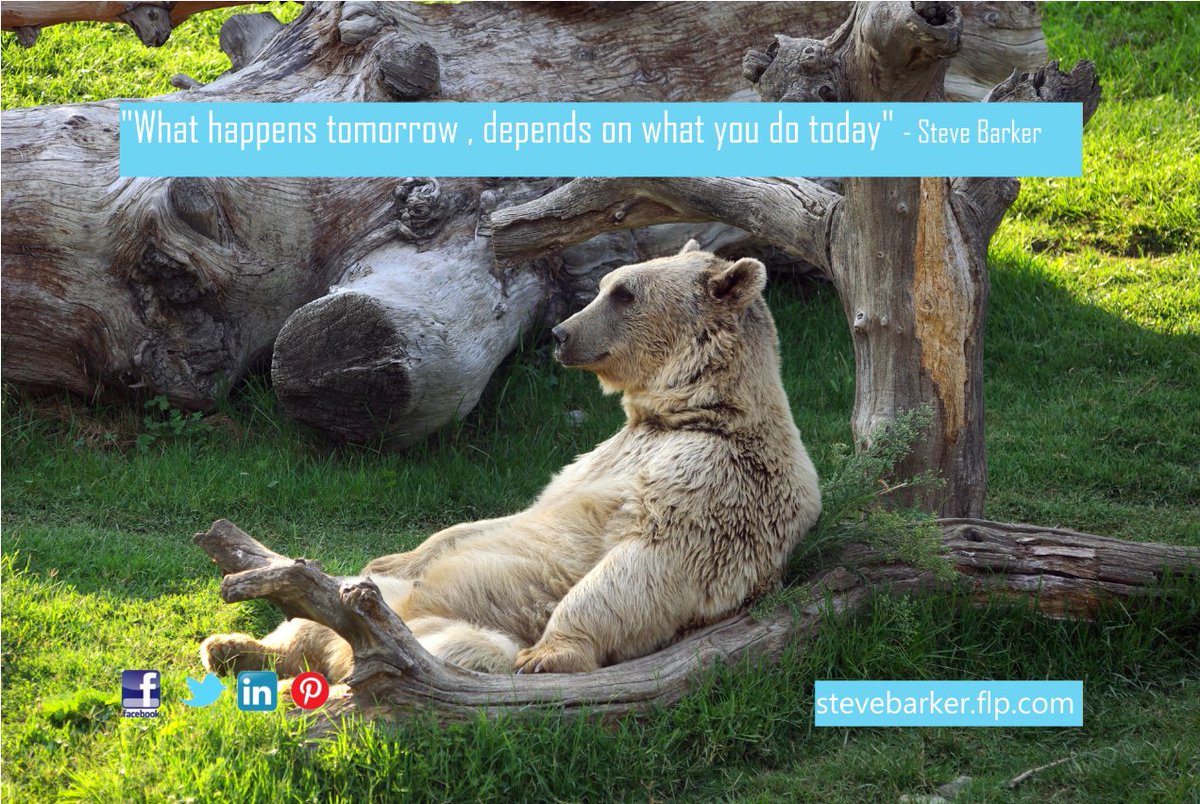 AloeVeraIOW's tweet photo. Welcome to another week with our #MondayMotivation Business quote to get you inspired

"What happens tomorrow, depends on what you do today" - Steve https://t.co/ID1cECKILv