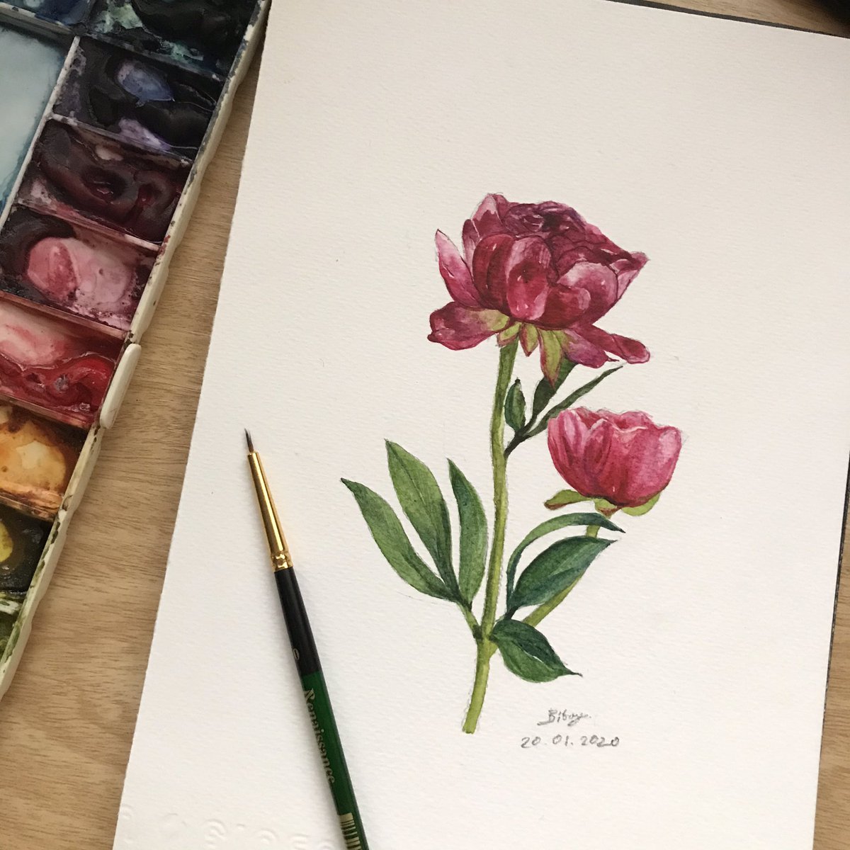tforestwonderer's tweet photo. My peony 
💖💖 

ดอกโบตั๋นได้รับการยกย่องให้เป็นราชาแห่งดอกไม้ เป็นสัญลักษณ์แห่งความโชคดีถือเป็นสัญลักษณ์ของประเทศจีน ความร่ำรวยและความซื่อสัตย์ เป็นตัวแทนของความรักความเมตตา ความสวยงามของผู้หญิง นำมาซึ่งความโชคดีและโชคลาภ

#flower #tforest #painting #watercolor #สีน้ำ #ภาพสีน้ำ https://t.co/U4fWNzCPEQ