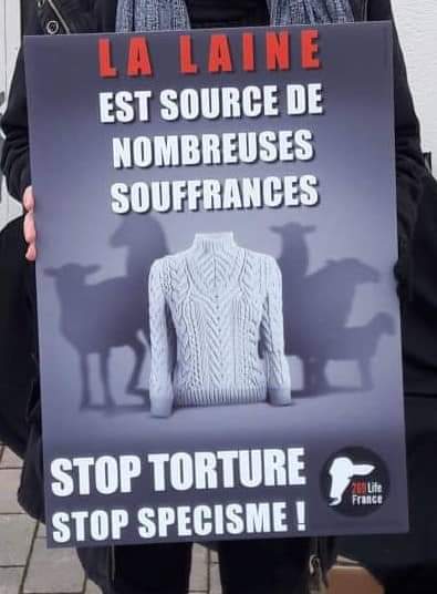 LoranG76's tweet photo. La maltraitance et la torture animale c'est justement quand on ne les tonds pas.
Voir un mouton étouffé dans sa laine ça ne doit pas être joli à voir... https://t.co/0CcBWSaTwu