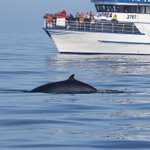 Photo by SpecialToursIceland (@specialtours)