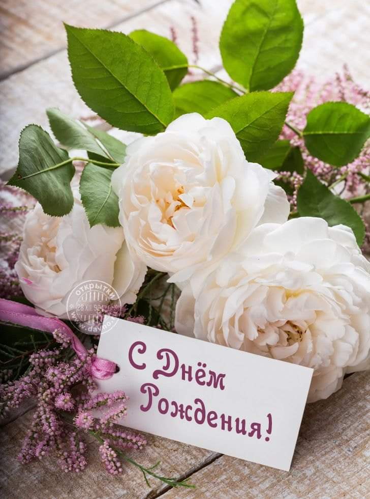 sedugin1's tweet photo. @LVKolosova С днём рождения! https://t.co/sIDGs3KAJV
