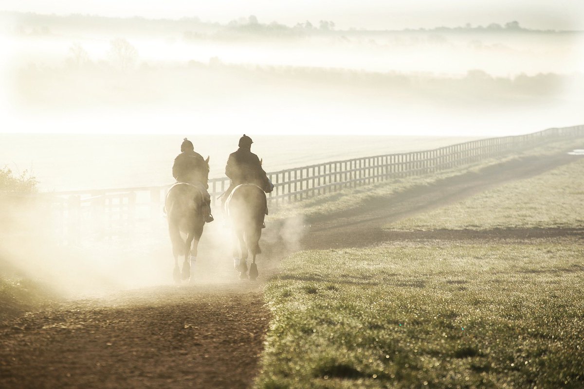 Chilly start to the week ❄️🏇🏽 #EQ #EQMedic #EquineSupplements #ExpertsInEquineHealth