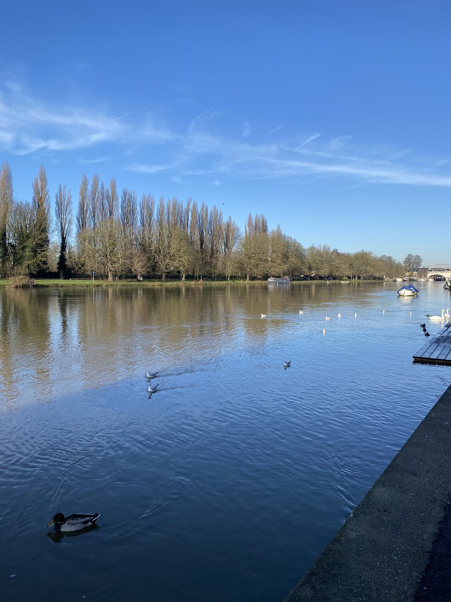 sinders25's tweet photo. Making marathon training bearable #16mileroute #runningducks https://t.co/kgQJUImfYP