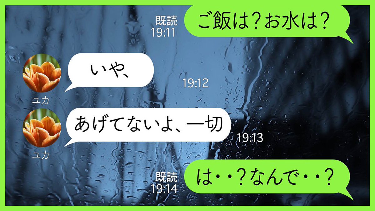 LatteWorks's tweet photo. 旅行中 女友達にペットを預けたら死んでしまった→病院で死因を調べてもらったら衝撃の結果が・・
動画はこちらから→https://t.co/yIoYr05Urj

#YouTube #スカッと #拡散希望 #修羅場 #ペット #犬 #虐待 #スカッとする話 #旅行 https://t.co/Gn11Ei52Tm