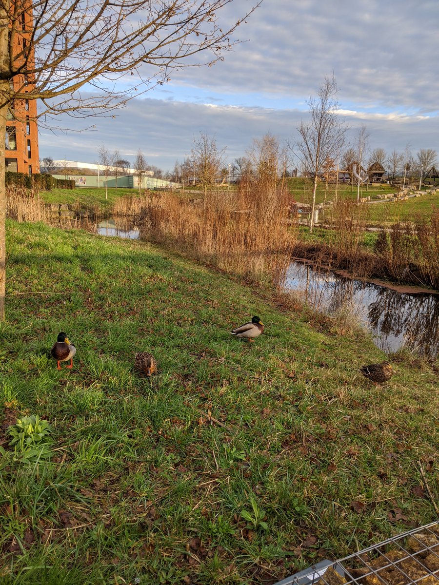 KeepingitDelic's tweet photo. My view this morning.  #London #Kidbrooke https://t.co/0uwBBT4VYE