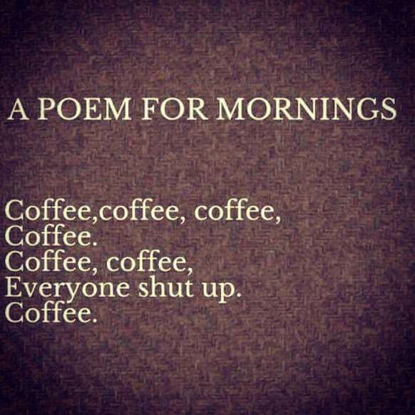 It's all about the coffee here at TP.

#rountoncoffee #specialitycoffee #specialityroaster #tpblend #TPquality #coffeecoffeecoffee #mornings #allday ift.tt/2NG0FpS