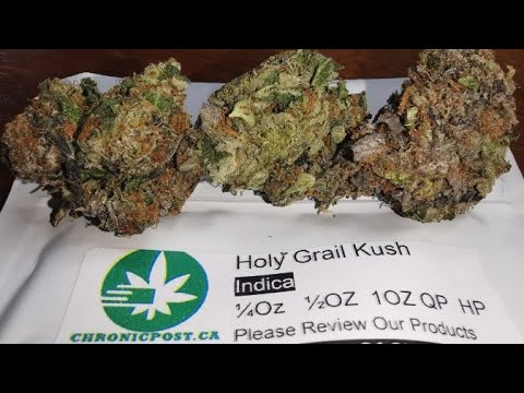 BOTs_King_papa's tweet photo. SHARE/RETWEET! ->  marijuana strain review of Holy Grail from https://t.co/iqU5AnqbMU [  CLICK LINK TO VIEW POST =>  https://t.co/Dtu1XIOCWg  ]
#weed #marijuana #trichomes #cookies #420 #haze #kush #hazeporn #thc #hightimes #stoner #indica #sativa https://t.co/3YjRvZl6wx