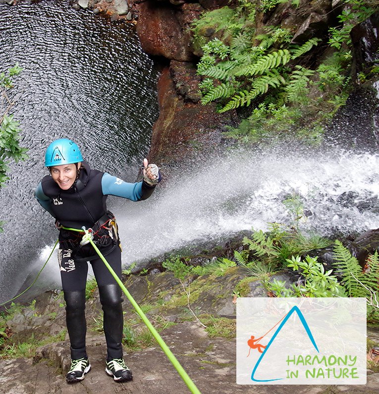 madeiraweb tweet media