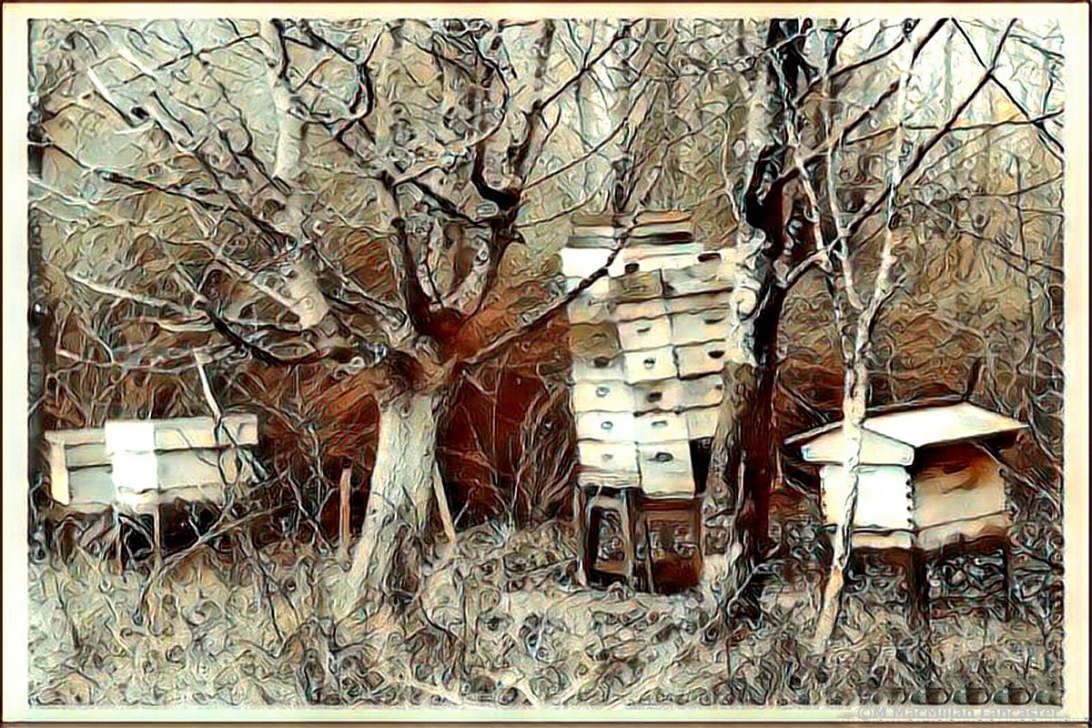 BeeCraftMag's tweet image. A frosty weekend provided a good opportunity to do some apiary box shifting -- and photography. A local was capturing the scene and showed me a manipulated picture of one of my #apiaries after a major storm last February. Photo copyright M MacMillan Lancaster.
