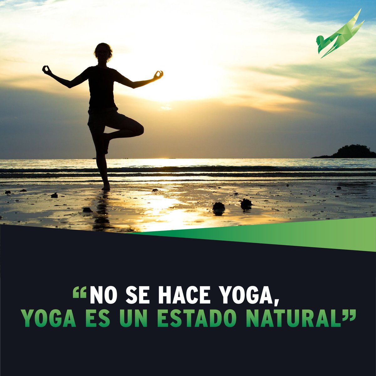 🤸‍♀️ No se hace Yoga, Yoga es un estado natural 🏞️
.
.
.
.
.
#OrthosFormacion #Orthos #Yoga #Formaciondeyoga #Wellness