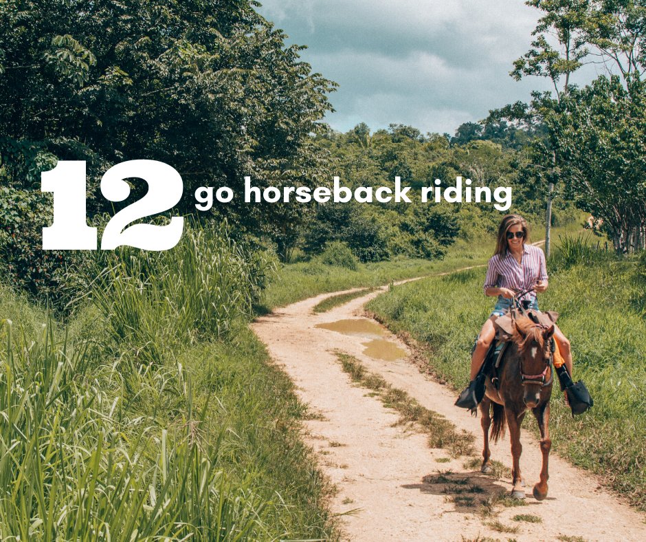 MagnumBelize's tweet photo. 20 Belize Bucket List Items for 2020 - #12 Go horseback riding thru the jungle.

#belize #bucketlist #20for2020 https://t.co/PpOw01kkfD