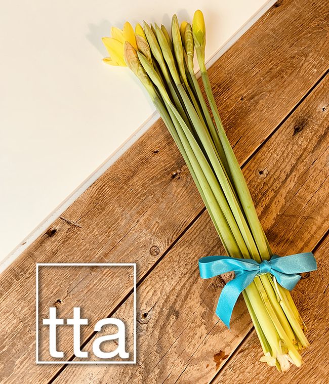 TheTurnerAgency's tweet photo. Beautiful sunshine and a little bit of #spring on each of our desks today! Not so #BlueMonday at TTA. #wellbeing #MondayMotivation #happy https://t.co/ZiJhXsj2Dh