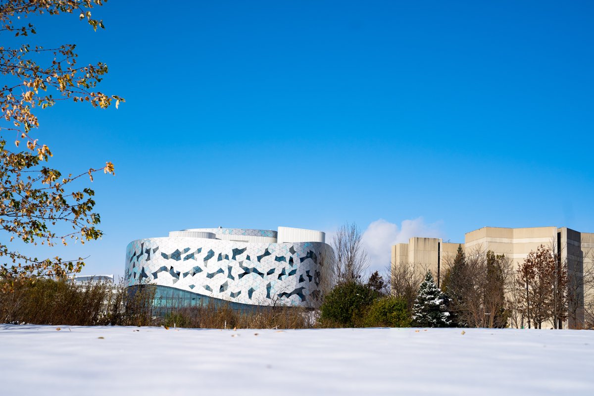 DYK: Today, the third Monday in January is often referred to as #BlueMonday for it’s tendency to be one of the most depressing days of the year. Here's a quick reminder of the numerous mental health resources available to #YorkU students, staff &amp; faculty: mhw.info.yorku.ca/resources/