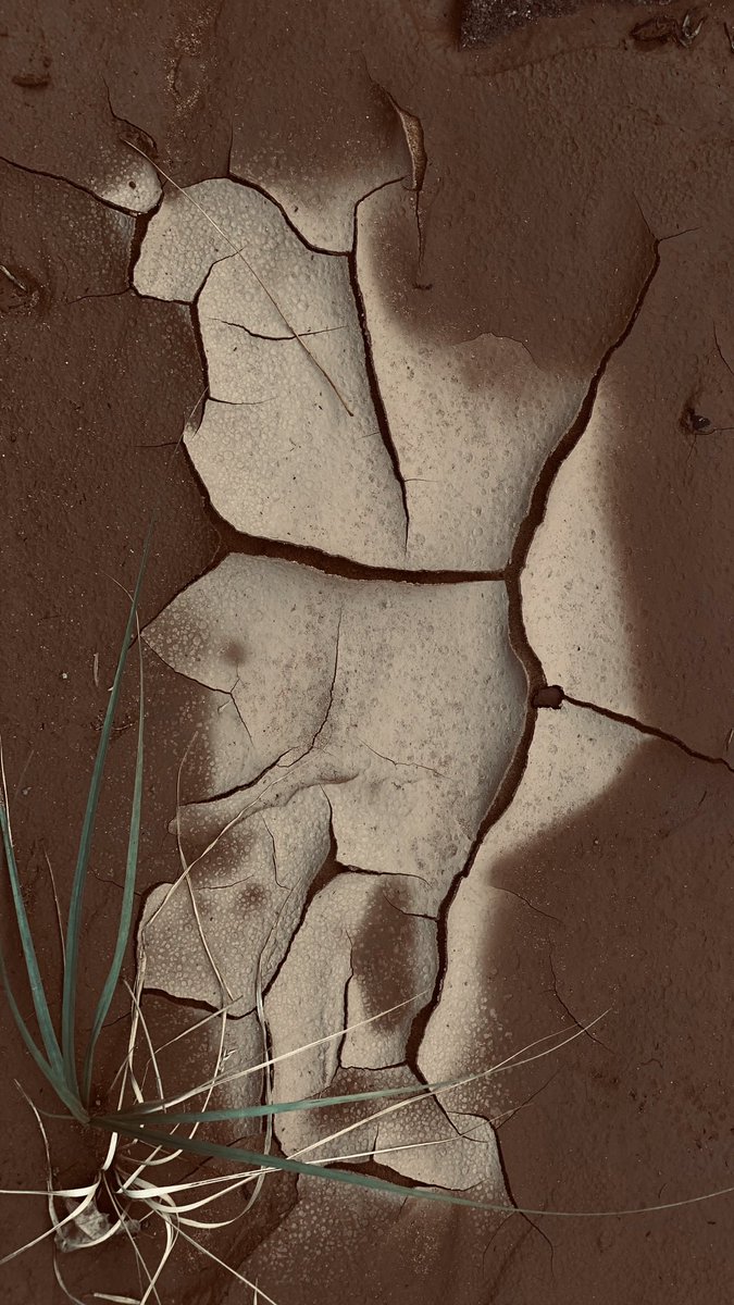 متعب | AlUla tweet media