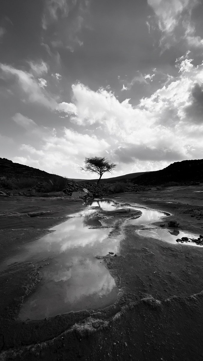 متعب | AlUla tweet media