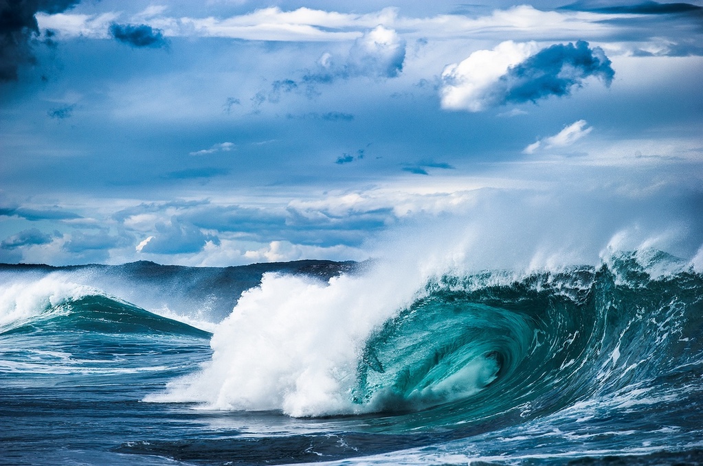 Ocean Education Publishing tweet media
