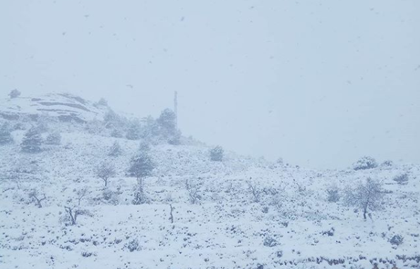 LittlePinkWitch's tweet photo. #SnowMonday y no #BlueMonday tenemos hoy ! https://t.co/x8jRNx9RPo