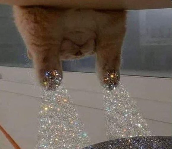 Esse é o gatinho de boas vibrações, dá RT e você terá uma semana incrível.