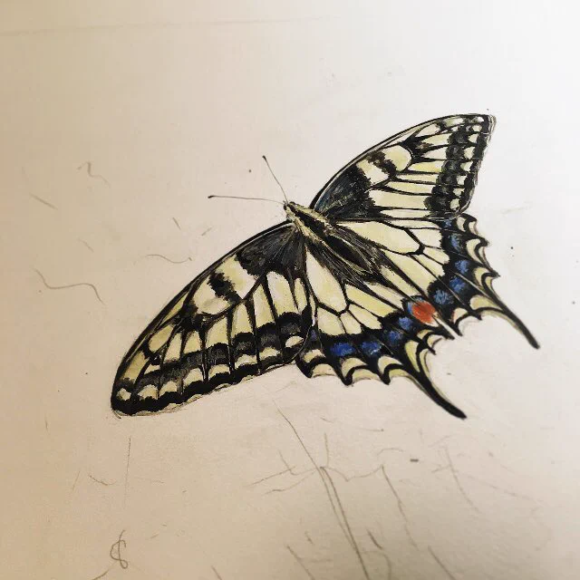 背景に突入します🐞。 