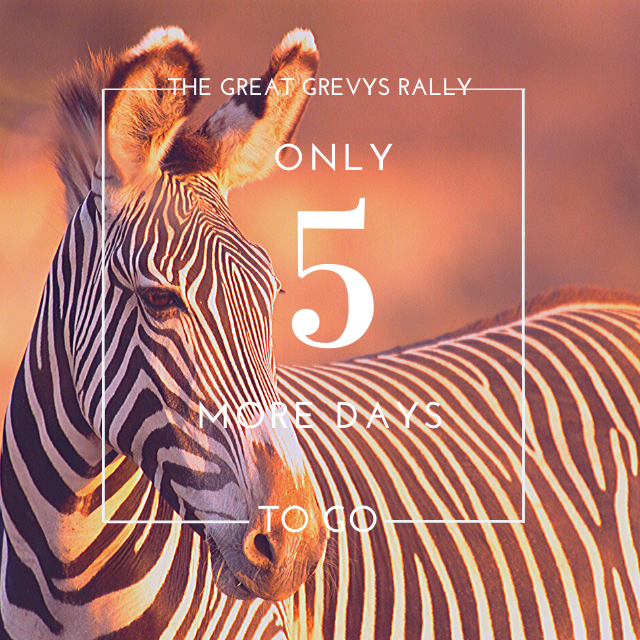 GrevysRally's tweet photo. 5 more days to go!! Still interested in participating in the 2020 Great Grevy's Rally? We still have a few more slots. Get in touch with us today!! Email us at info@greatgrevysrally.com #GGR2020 #greatgrevysrally #grevyzebras #earnyourstripes https://t.co/cHGLAAxueQ