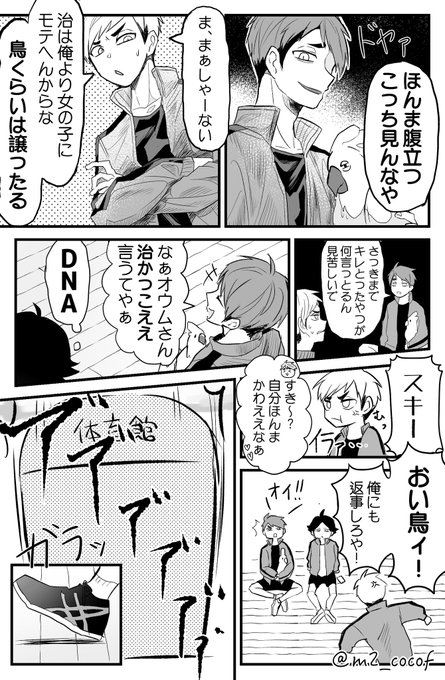 稲荷崎高校の体育館に迷いオウムが来た話②おわり 