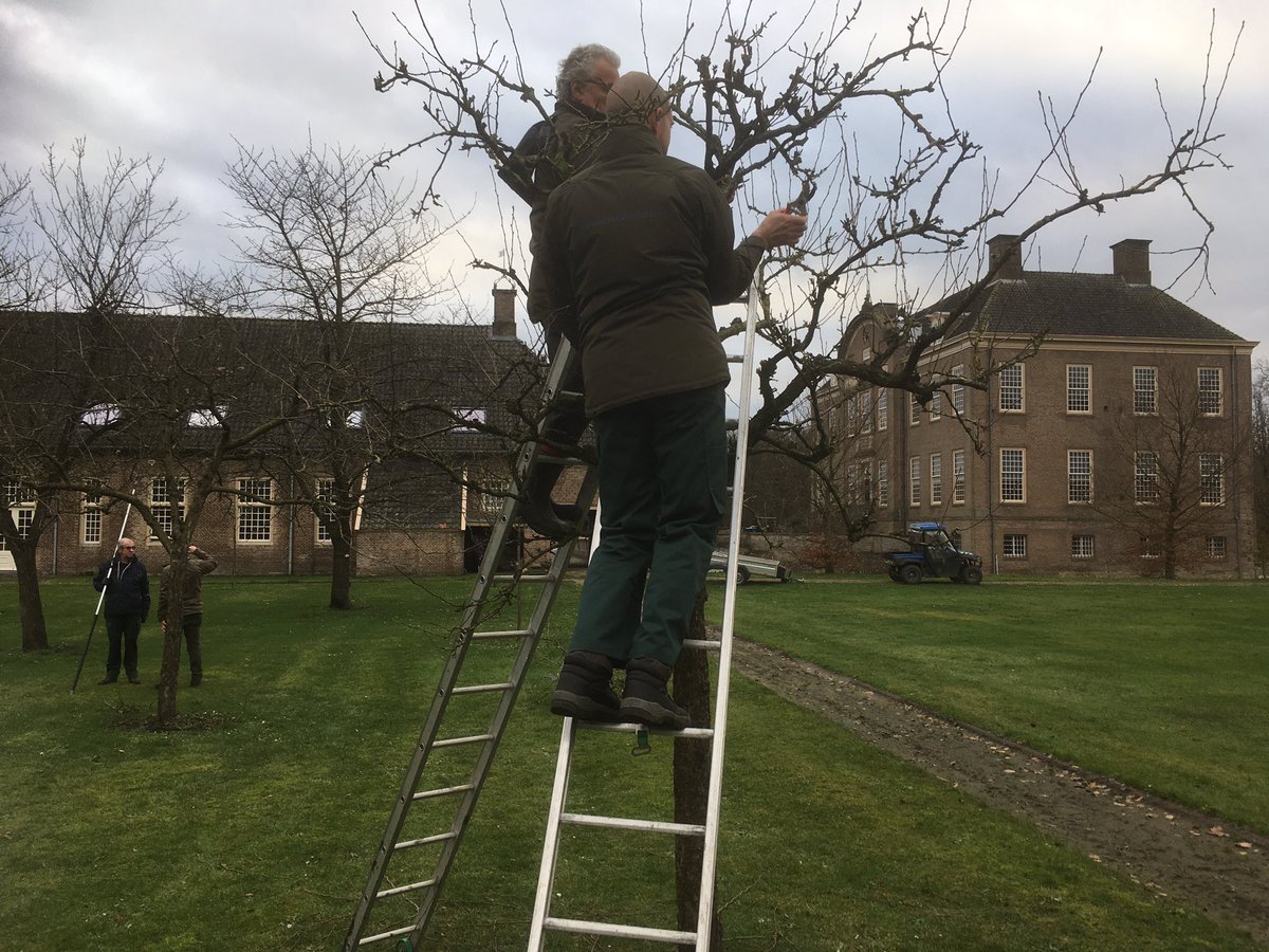 TuinbaasMaarten's tweet photo. Vorige week hebben #vrijwilligers @Natuurmonument Landgoed #Colckhof en #Eerde fruitsnoei cursus gehad kunnen ze de komend weken de hoogstamfruit bomen snoeien. https://t.co/TWsygcS1Br