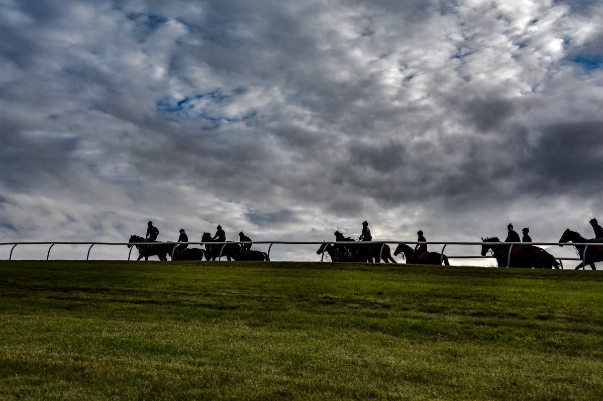 A cold Winter’s morning to start the week in Upper Lambourn. #CotswoldForage #HorseRacing #Equestrian #CF